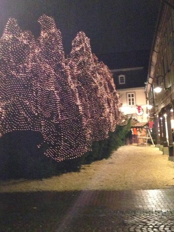 Hubertus Hof Hotel Goslar Eksteriør billede